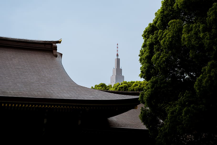oldnew, tower, tokyo, japanese, tradition, tree, architecture HD wallpaper