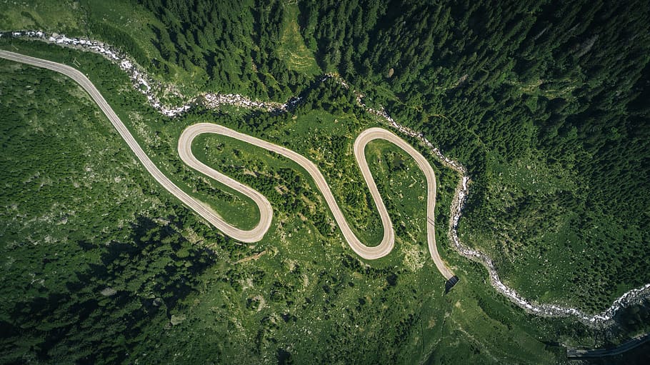 green, trees, plants, nature, forest, landscape, aerial, view HD wallpaper