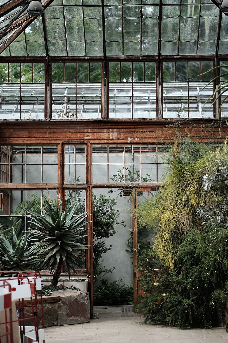 greenhouse, structure, plants, nature, garden, trees, architecture HD wallpaper