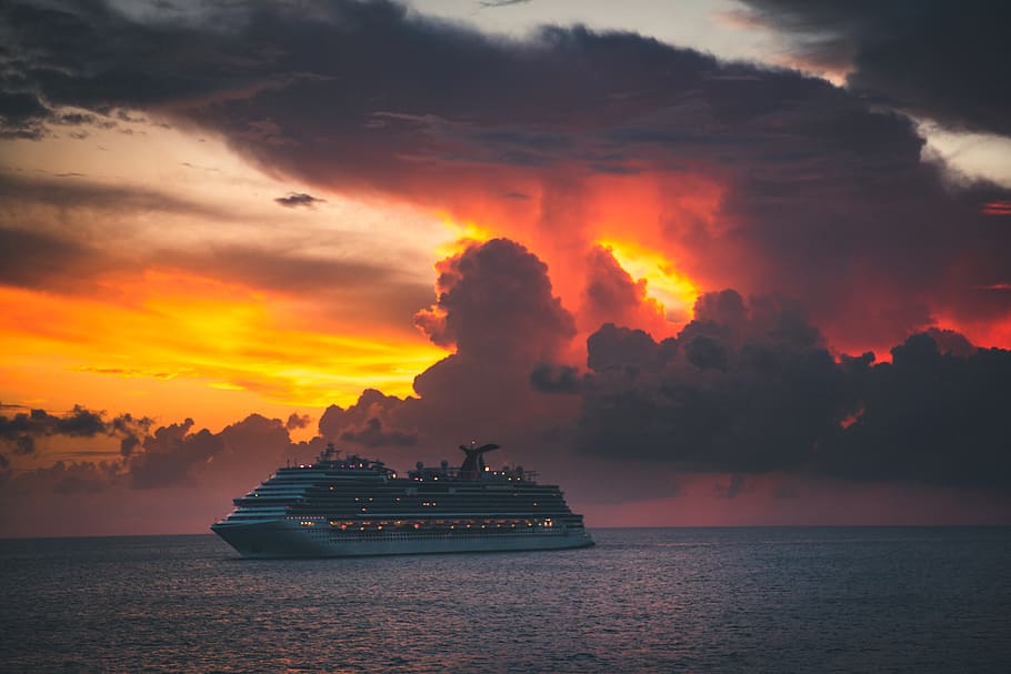 white cruise ship, nautical vessel, water, transportation, sea HD wallpaper