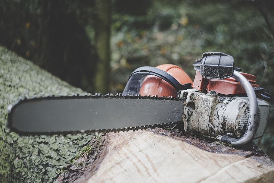 chainsaw, forestry, tree, cases, wood, nature, tribe, timber HD wallpaper