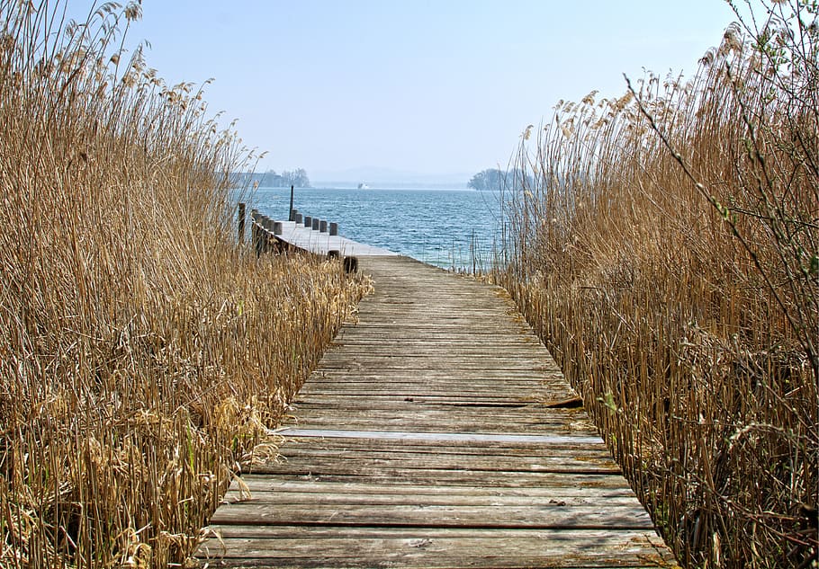 Brown Wooden Dock Above Body of Water, bank, beach, boardwalk HD wallpaper