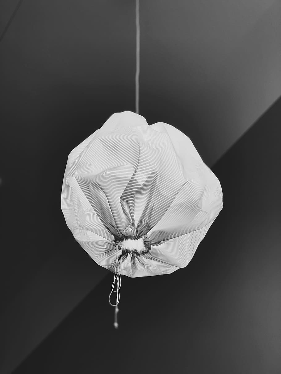 white lantern hanging on ceiling, flowering plant, fragility HD wallpaper