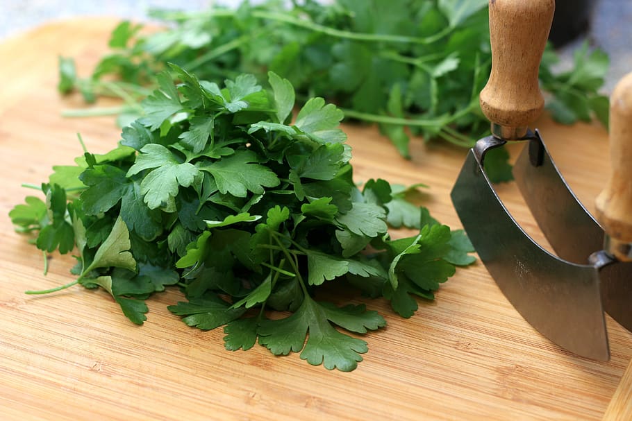 parsley, herbs, hack, see saw, fresh, healthy, plant, green, HD wallpaper