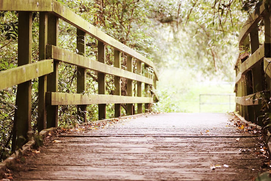 nature, bridge, boardwalk, path, tree, field, wood - material HD wallpaper