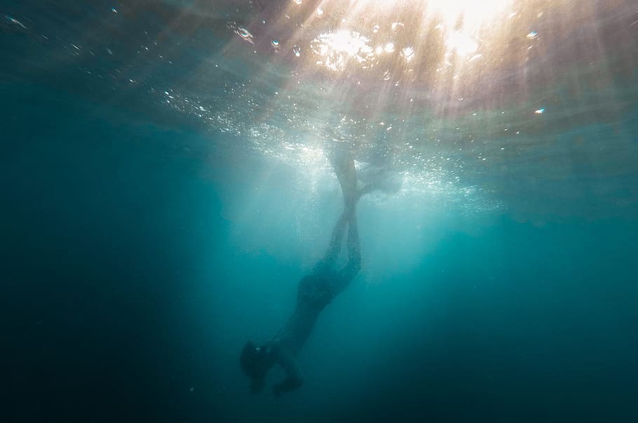underwater photo of person diving, sunlight, diver, swim, nature, HD wallpaper