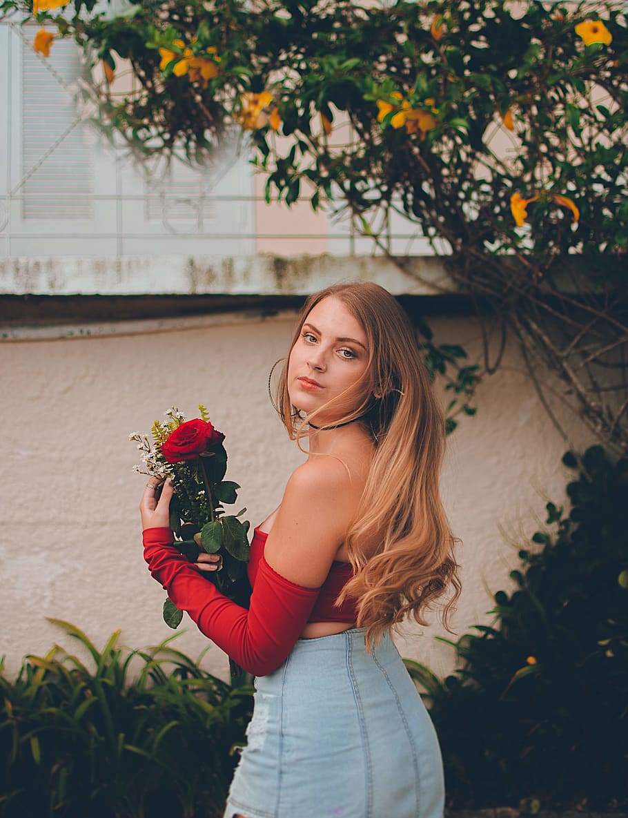 Woman in Red Off-shoulder Top Holding Flower, attractive, beautiful, HD wallpaper