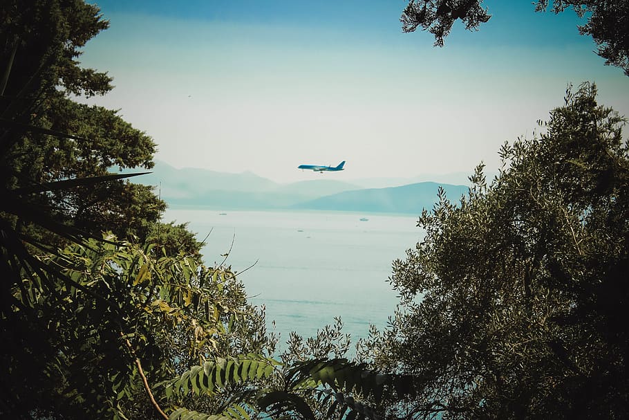 greece, corfu, fly, plane, tree, plant, sky, flying, transportation HD wallpaper
