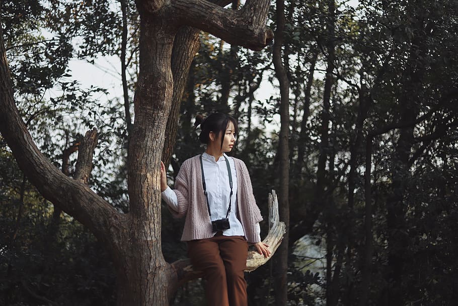 woman sitting on tree, apparel, sleeve, clothing, long sleeve HD wallpaper