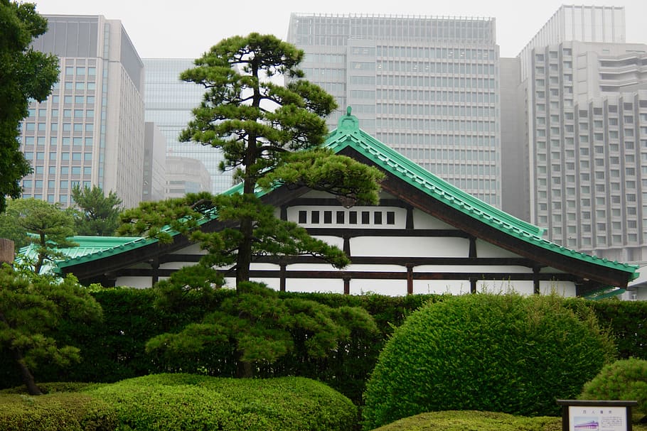 built structure, architecture, building exterior, plant, tree HD wallpaper