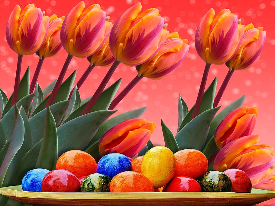 easter, happy easter, color, celebration, flowers, tulips, colorful HD wallpaper