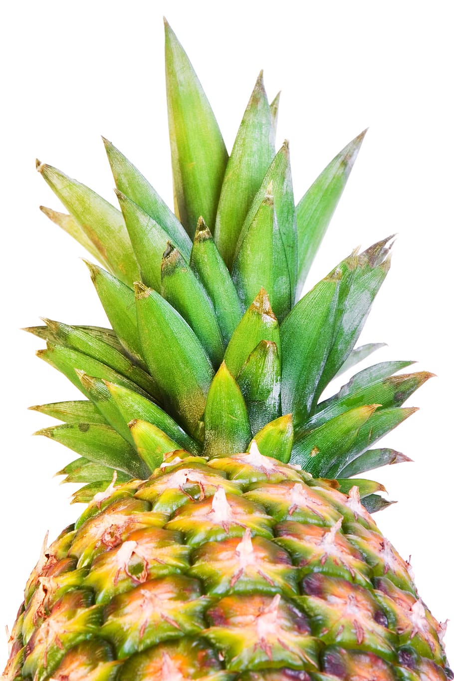 pineapple, ananas, close-up, closeup, diet, dieting, eating HD wallpaper