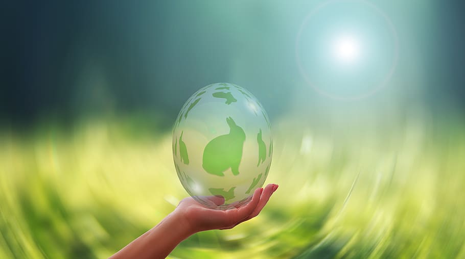 easter, egg, easter egg, easter bunny, symbol, hand, keep, sun HD wallpaper