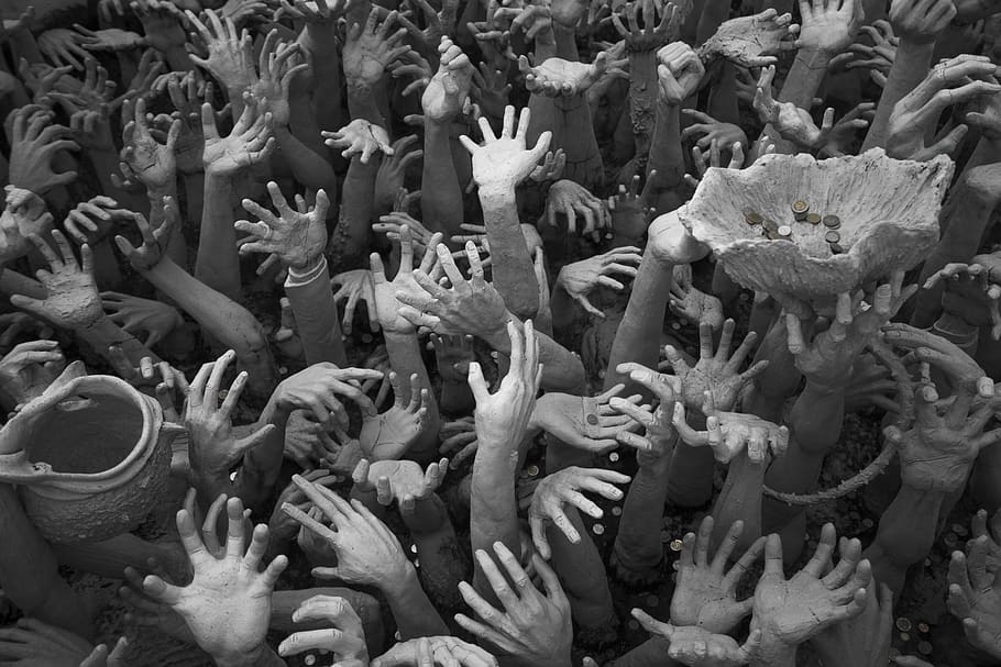 hand, statue, swimming, full frame, sea, crowd, water, large group of animals HD wallpaper