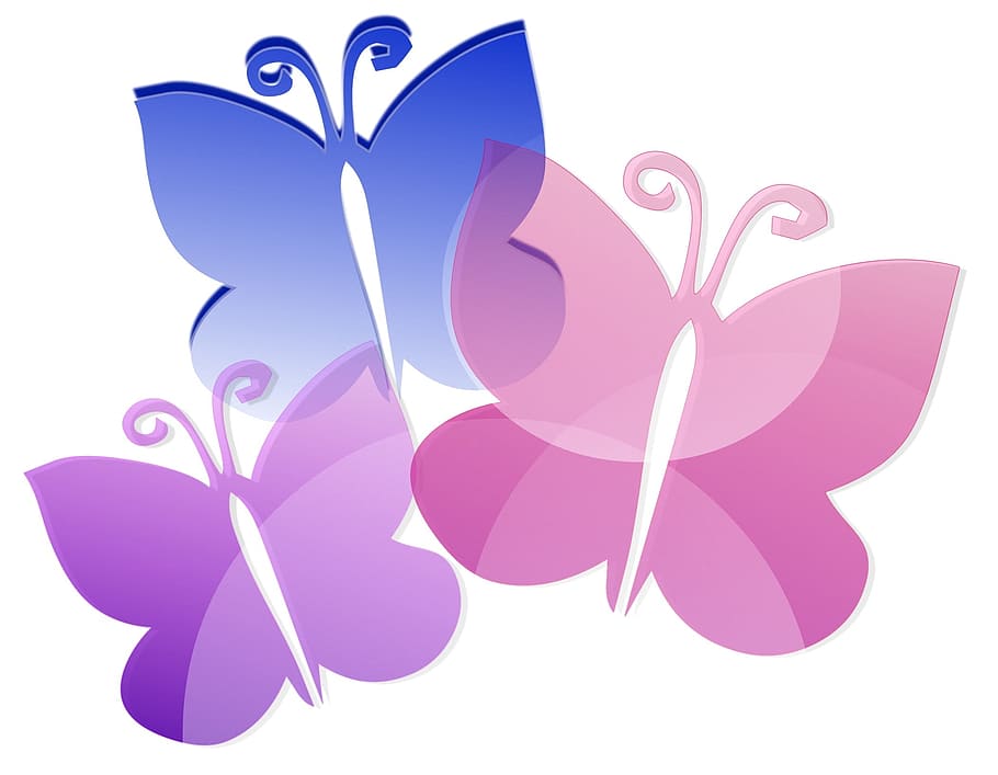 fly, butterfly, nature, graphics, no people, purple, pattern HD wallpaper