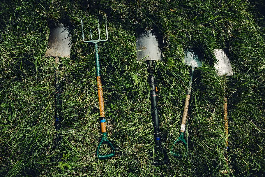 several shovels on grass, united kingdom, watford, nature, perserverence