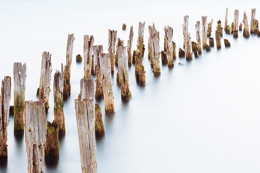 brown woods, wood - material, no people, nature, wooden post HD wallpaper