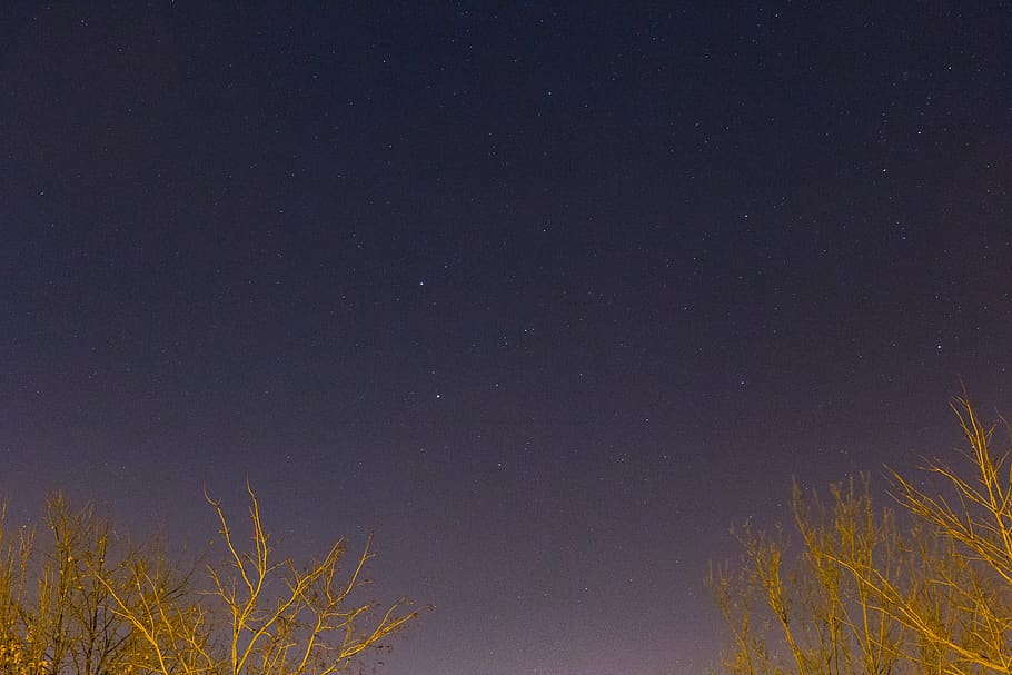 stars, galaxy, space, sky, night, dark, evening, trees, nature HD wallpaper