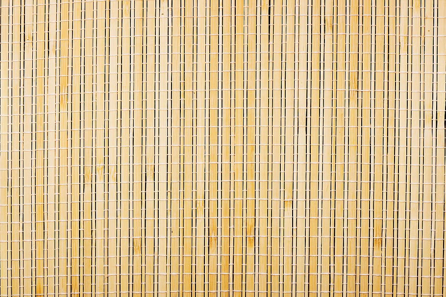 background, bamboo, beautiful, bright, close-up, color, pattern HD wallpaper