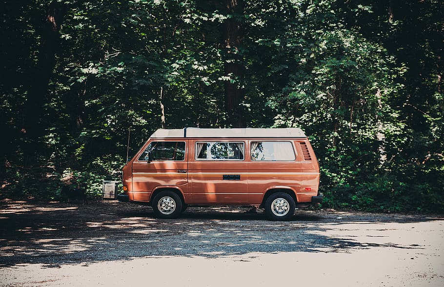 orange van parked near tree, plant, transportation, mode of transportation HD wallpaper