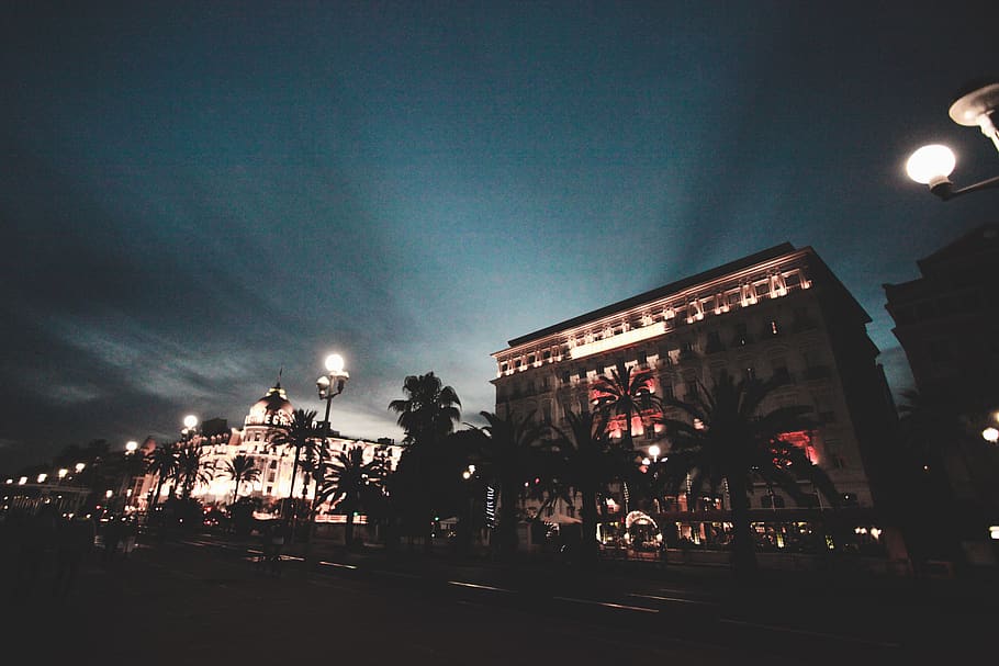 france, nice, palm tree, night, strip, sky, architecture, building exterior HD wallpaper