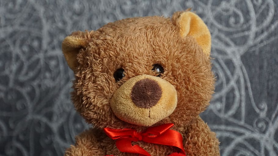 teddy, teddy bear, stuffed animal, furry teddy bear, cute, bears, HD wallpaper