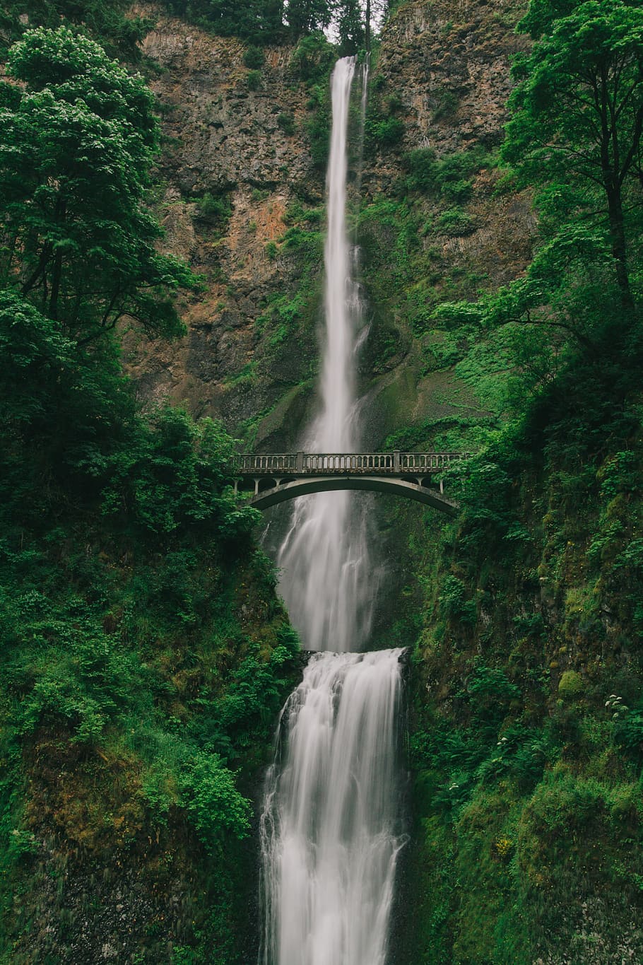 nature, trees, woods, forest, green, falls, infrastructure HD wallpaper