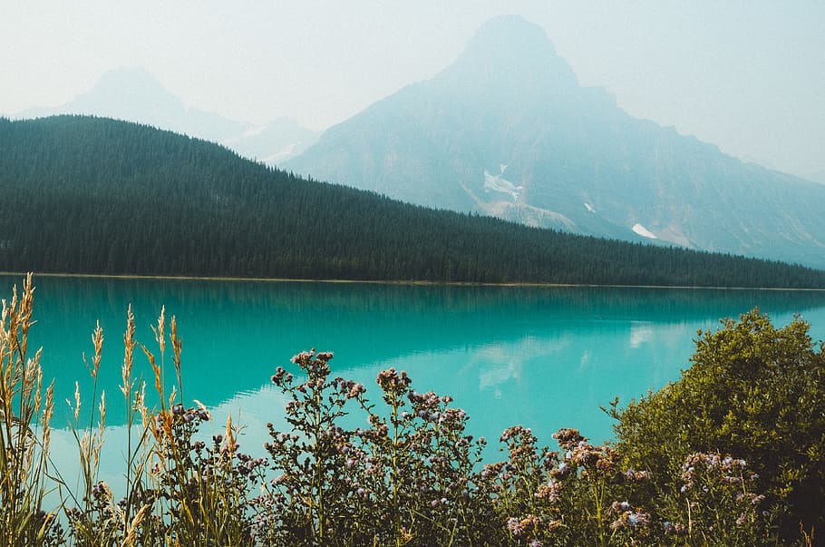 lake, trees, flowers, mountains, scenics - nature, water, tranquil scene HD wallpaper