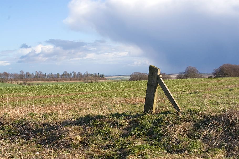 berkshire downs, england, field, clouds, landscape, sky, grass HD wallpaper