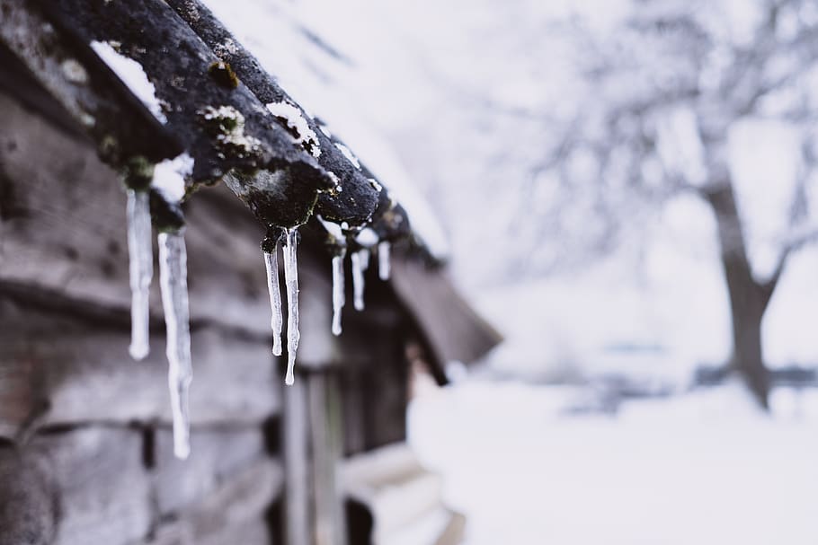 Ice on Roof, blur, cold, focus, rustic, snow, tree, winter, wood HD wallpaper