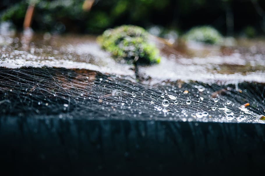united kingdom, birmingham, web, spiderweb, rain, drop, droplet HD wallpaper