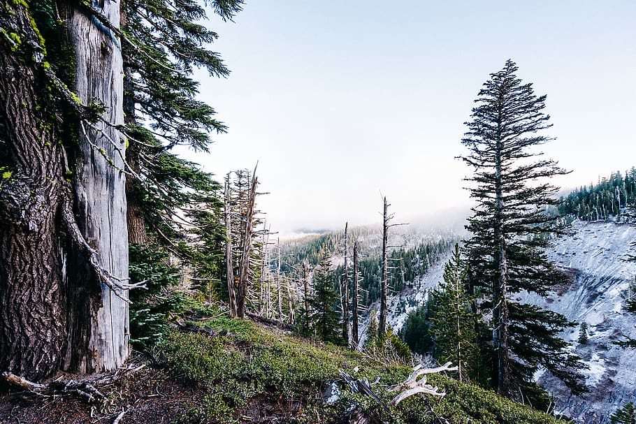 Green Trees and Snow Covered Mountain Under White Clouds, cliff HD wallpaper