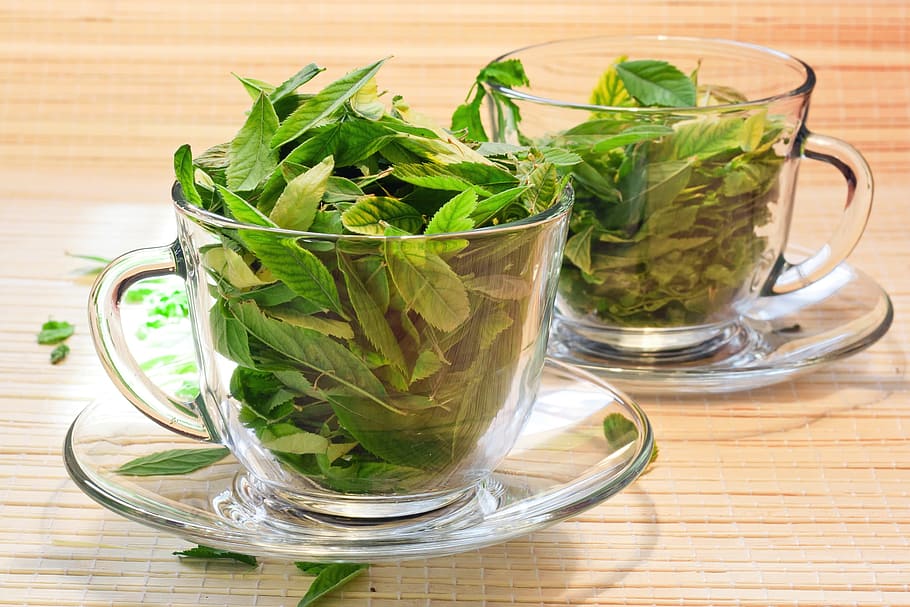 cup, drink, flora, floral, fresh, green, healthy, leaf, natural HD wallpaper