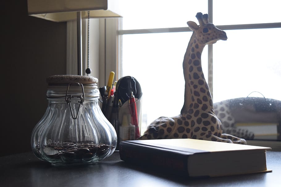 desk, pen, pens, giraffe, money, window, office, change, container HD wallpaper