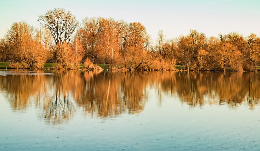 nature, trees, landscape, mood, light, scenic, romantic, sunset HD wallpaper