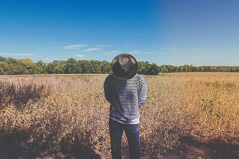 boy, man, happy, solo, alone, farm, background, love, nature HD wallpaper