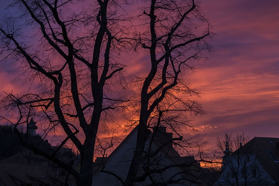 trees, sunset, fire, fireball, urban, sky, bare tree, silhouette HD wallpaper