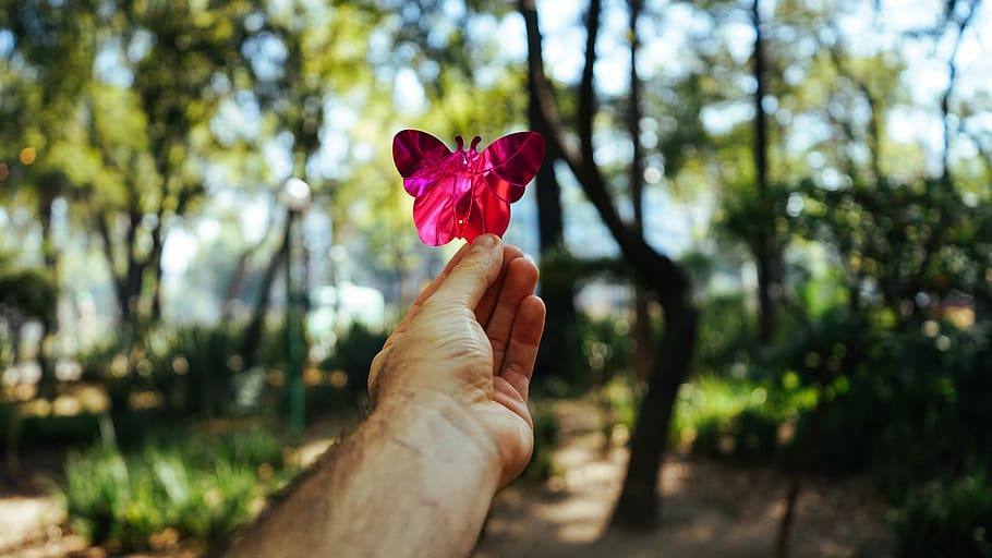 butterfly, forest, tree, trees, fake, plastic, magenta, pink HD wallpaper