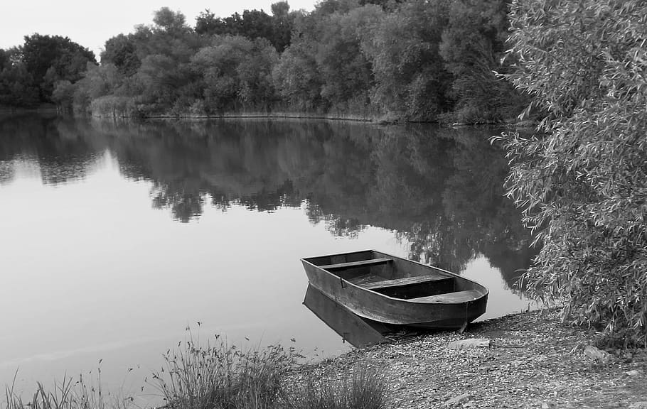 black white, water, lake, boat, forest, mirroring, sky, nature HD wallpaper