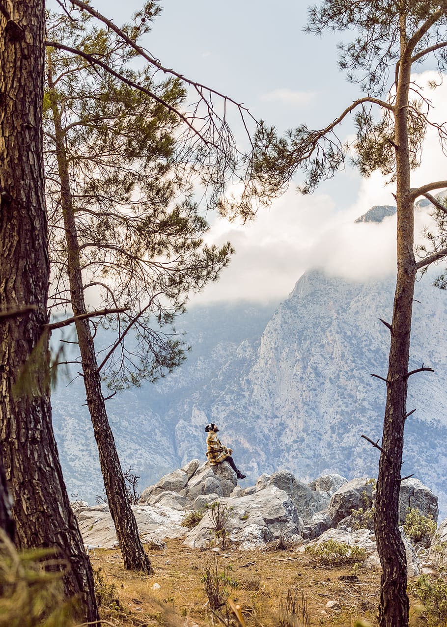 person siting on rock, sitting, tree, cloud, alone, natural, view HD wallpaper