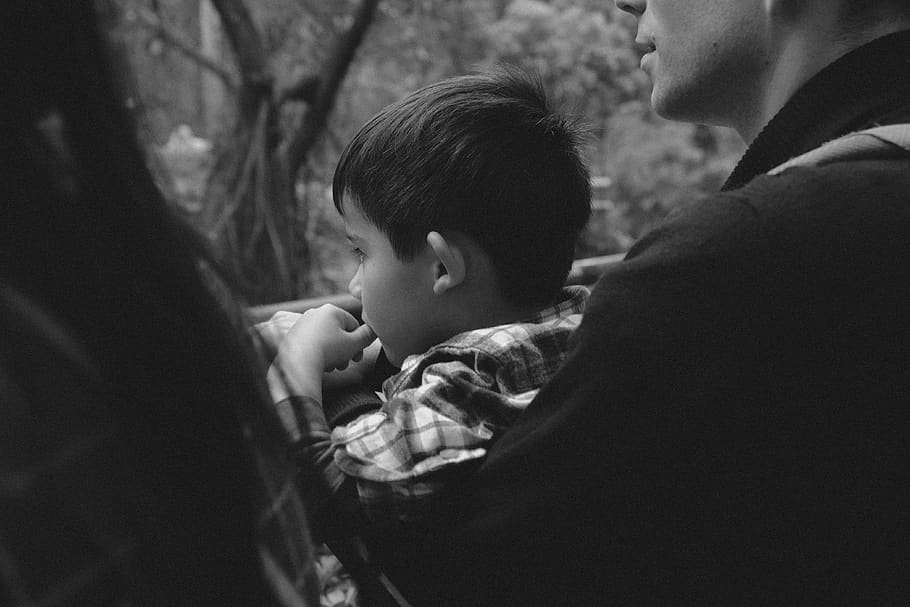 zoo, child, boy, men, childhood, males, togetherness, two people HD wallpaper