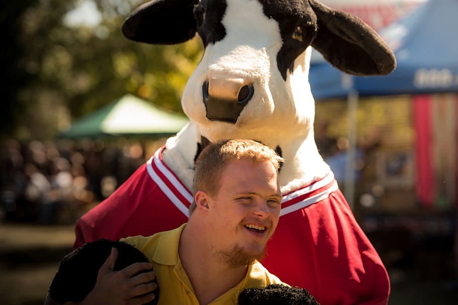 united states, knoxville, world's fair park, laugh, cow, maskot, HD wallpaper