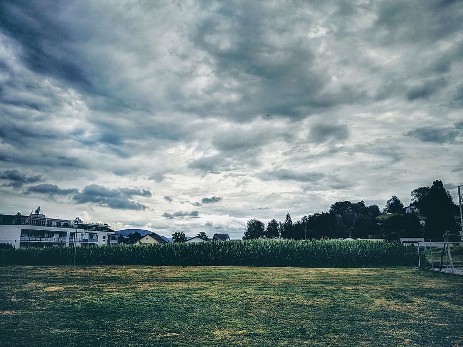 grass, cinematic, cloud, tree, architecture, moody, landscape HD wallpaper