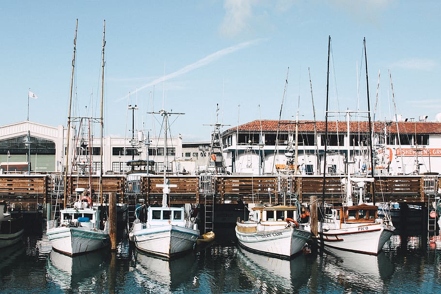 white sailboats, marina, dock, harbor, californium, san francisco HD wallpaper