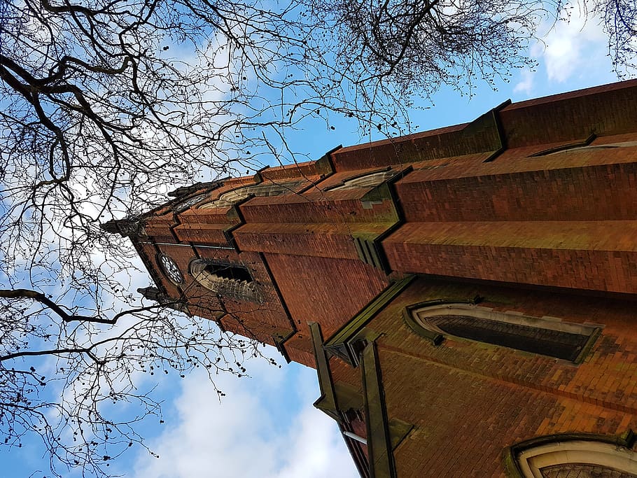 united kingdom, derby, low angle view, sky, architecture, tree HD wallpaper