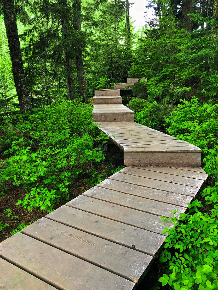 canada, whistler, mountain access rd, start, stairs, achieve HD wallpaper