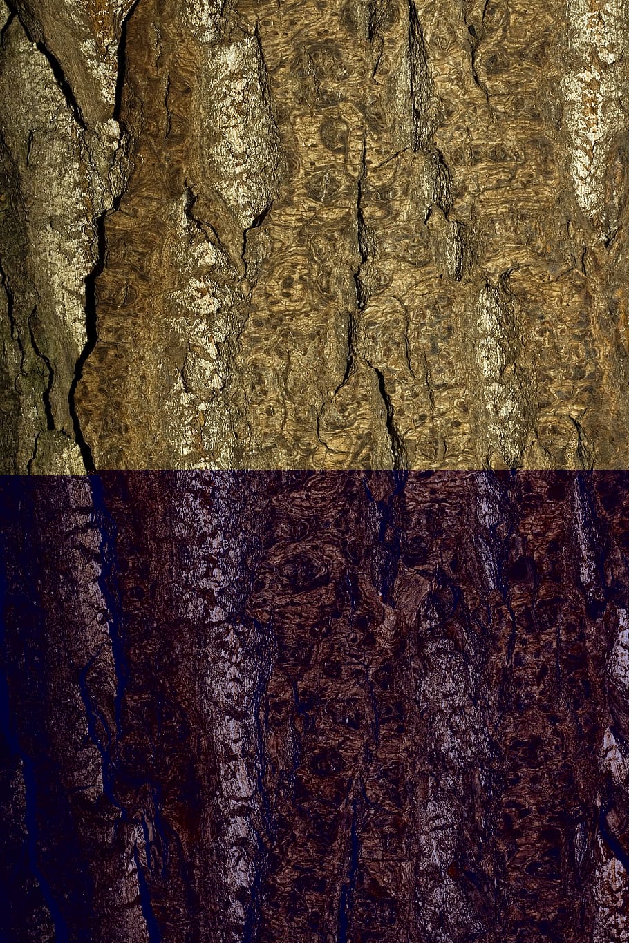 tree, bark, wood, cracked, background, texture, brown, close-up HD wallpaper