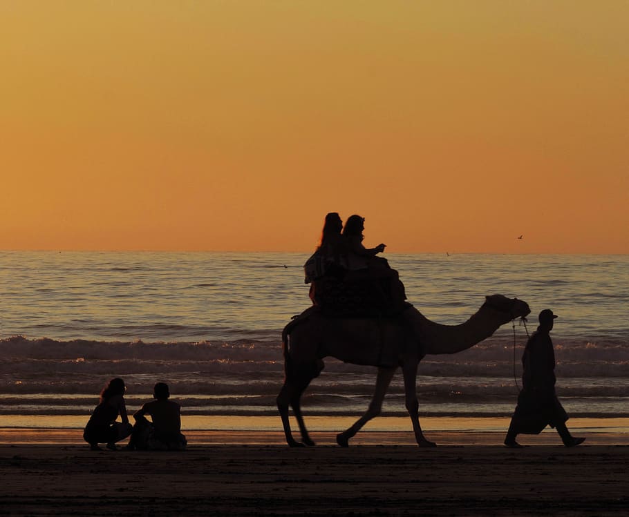 morocco, tamraght, ride, couple, sunset, camel, sea, sky, people HD wallpaper