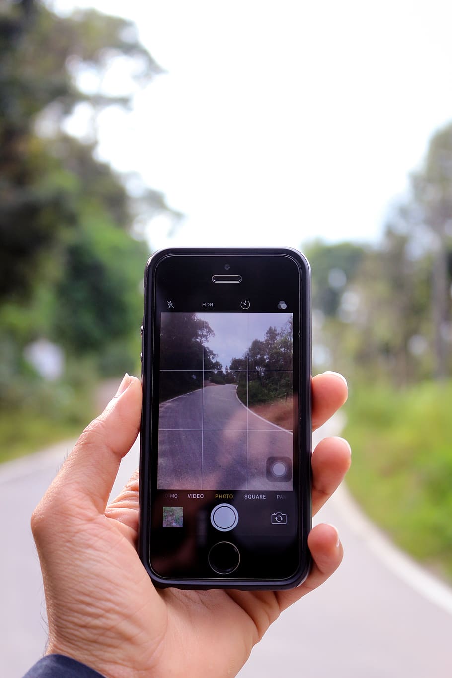 cell phone, mobile, path, tree, picture in picture, trip, road HD wallpaper