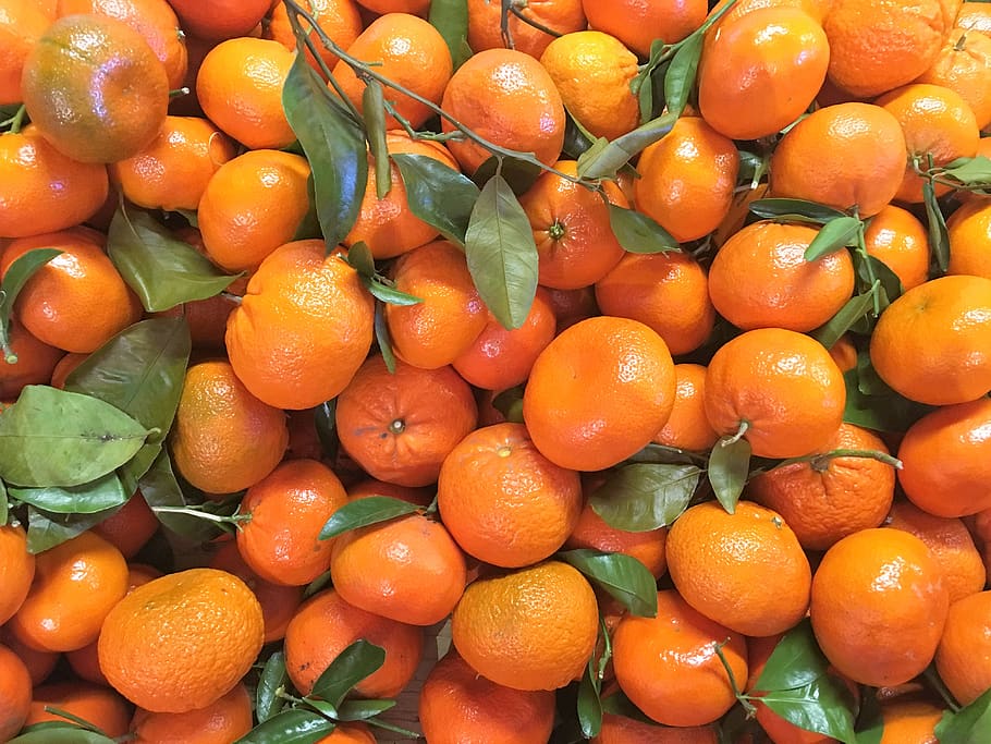 citrus fruit, background, clementine, orange, food, food and drink